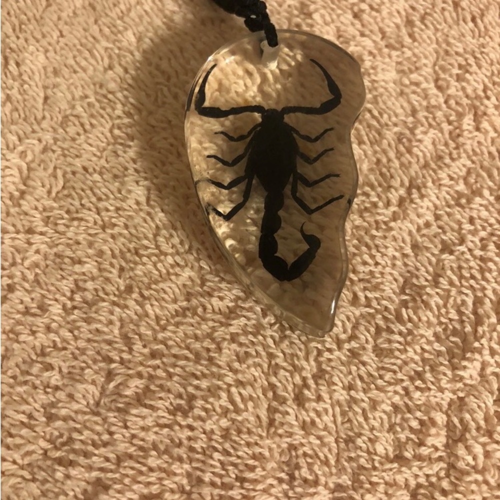 Scorpion in Lucite Pendant With Rope Cord